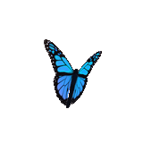 Blue Butterfly Sticker by Originals