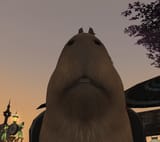 1744143094733652