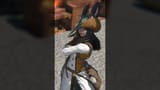 ffxiv_dx11 22 780