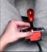 penus