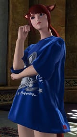 ffxiv_dx11_2025-08-05_15-34-48_367