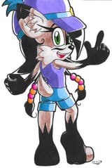 _sonic____nicole_the_lynx_by_harmonydescent_d6x3xvs-fullview