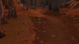 Walkin