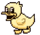 ducky