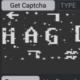 capture (3)