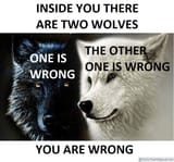 inside-there-are-two-wolves-other-one-is-one-is-wrong-wrong-are-wrong-felix-theobjectivist