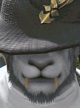 ffxiv_08052025_123623_797
