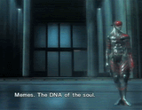 memes-the-dna-of-the-soul[1]