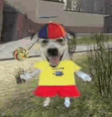 kiki
