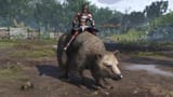bear