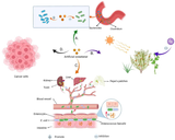 Artificial-sweeteners-are-harmful-to-human-health-and-the-environment-A-Artificial