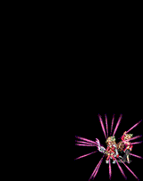 100024807_limit_atk_animated