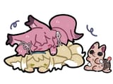 suzushamfoxes