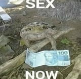1690984651839601