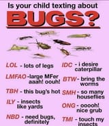 buggy