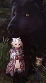 ffxiv_dx11 2024-11-05_12-58-07-255