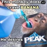1745874020352452