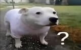 1739985118381069