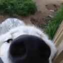 1721796647825_thumb.jpg
