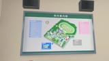 Cinderella Gray map
