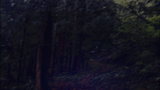 Screenshot (6908)