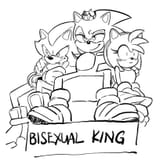 bi sonic