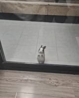 GxE0MotbUAEcME7