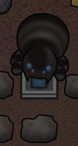 fucker