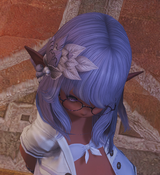 ffxiv_dx11_GQ0HmJ_05-08-202556