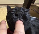 mooniefingerpop