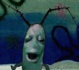 chum