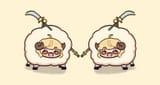 lesbian sheep