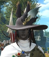 ffxiv_08052025_215631_237