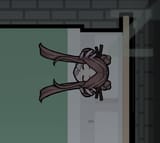 slep (2)
