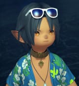 ffxiv_dx11_a6QJ1pPldk