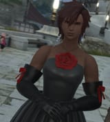 Highlander formal knights