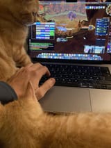 two-15-weeks-old-kittens-raiding-ony-for-the-first-time-v0-csslpufxaahf1