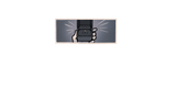 ring1
