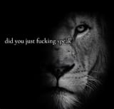 lion