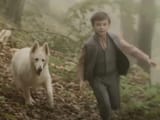 john 117 with his dog in the very successful halo tv series