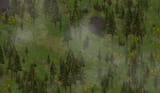 Screenshot 2025-08-06 050251