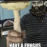 1744497849247423