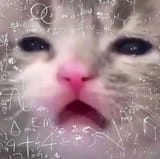 1735605251928869