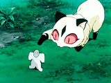 kirara paper
