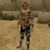 MW-npc-Taros_Dral