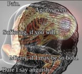 Fjuu_6eWAAIM6aK.jfif