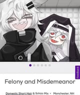 Lappland Specter adoptions