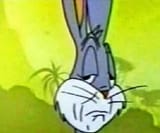 bugs