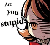 are you stupid