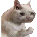 1737054269044135